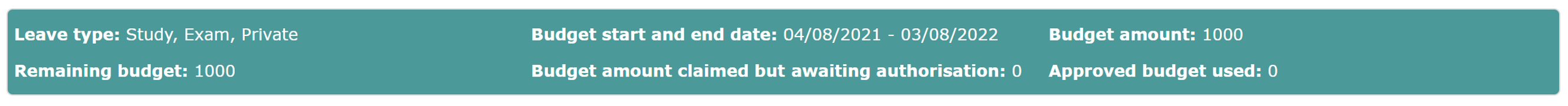 accent_-_budget_in_application_view.png